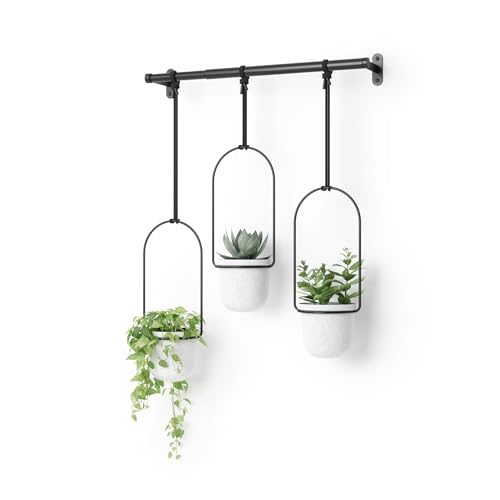 Umbra Triflora Hanging Planter for Window Indoor Herb Garden Set of 3 WhiteBlack