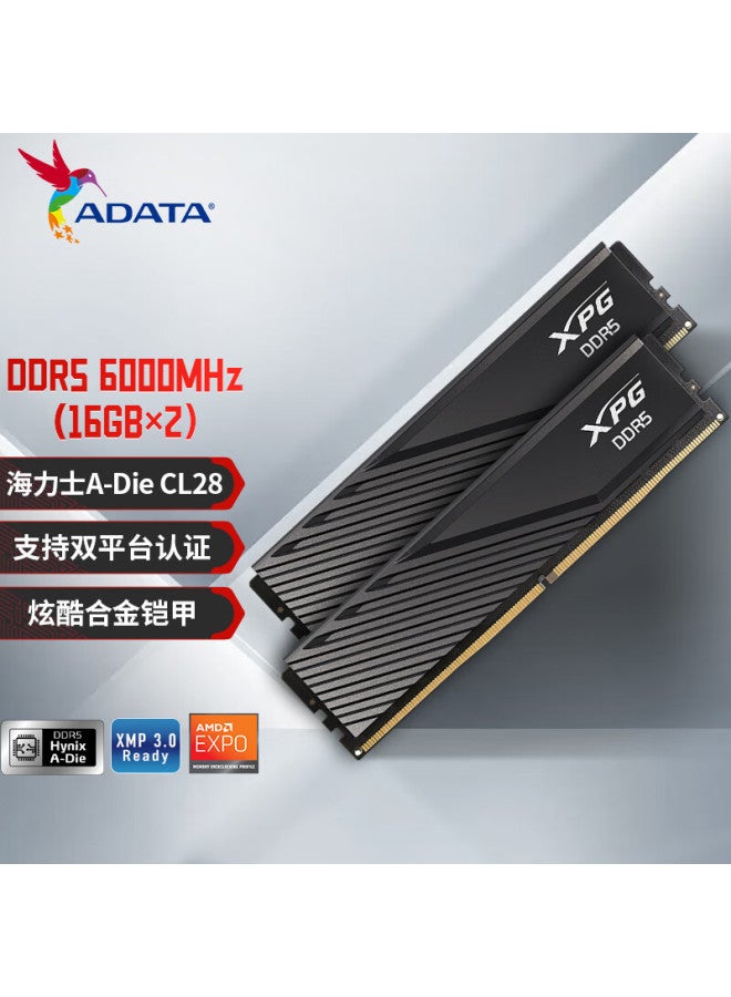 Adata 32gb Kit Ddr5 6000 Desktop Memory Module Hynix A-die Chips Xpg Weilong D300 C28 Compatible With 9800x3d