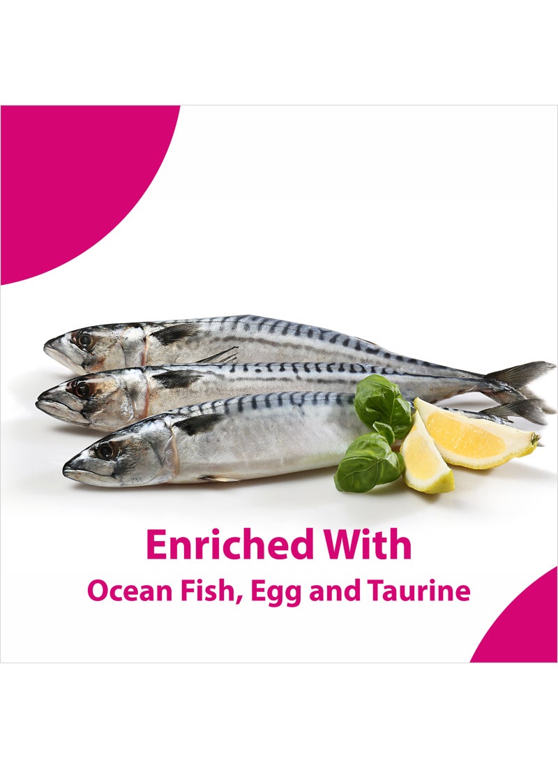 Maxi Persian Dry Cat Food Ocean Fish - Image 3