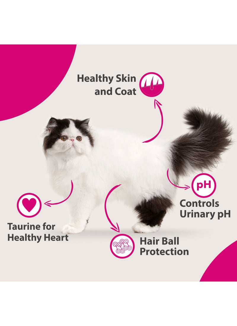 Maxi Persian Dry Cat Food Ocean Fish - Image 4