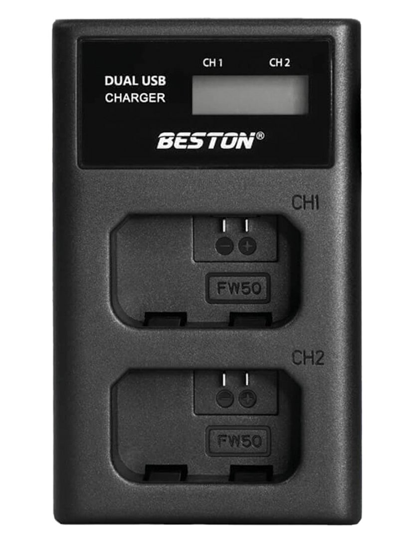 BESTON BESTON Dual Charger for Sony FW50 with USB Type-C - Image 1