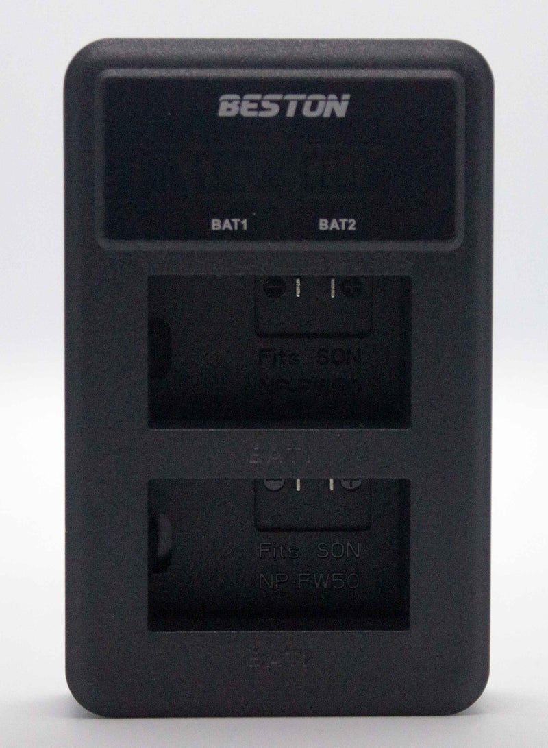 BESTON BESTON Dual Charger for Sony FW50 with USB Type-C - Image 3