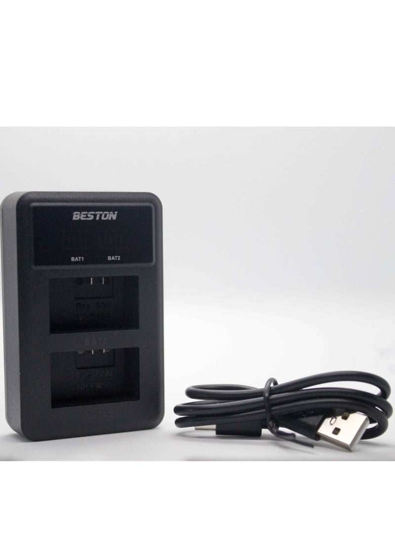BESTON BESTON Dual Charger for Sony FW50 with USB Type-C - Image 4