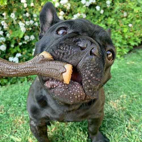 Nylabone Real Wood Stick Toy Strong Chew Toy for Dogs, Rubber Dog Toys for Moderate & Aggressive Chewers, Bacon Flavor, Medium - Up to 35 lbs, 1 Count - Image 2