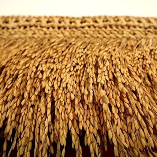 SUVASANE Paddy Torana with Paddy Grains,1 Natural Paddy Door Torana 3.5 feet (1 Paddy Torana Length-42inches) Height-9 inches - Image 5