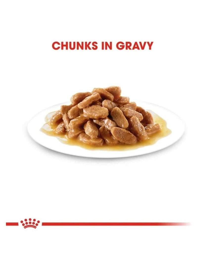 ROYAL CANIN طعام رطب للجراء متوسط الحجم في المرق 10 × 140 جم - Image 4