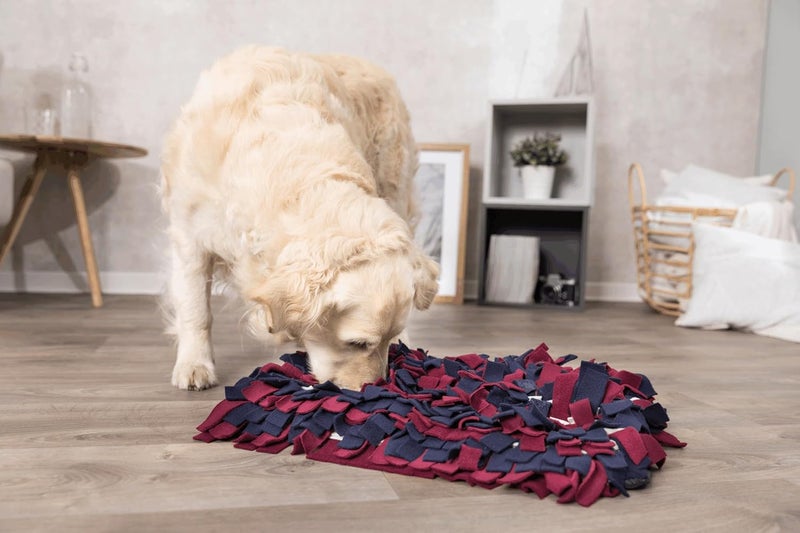 TRIXIE Snuffle Mat for Dogs Level 1 Interactive Dog Toys Slow Feeder Puzzle Foraging Training - Image 3
