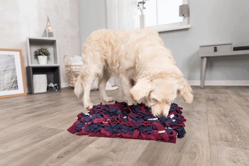 TRIXIE Snuffle Mat for Dogs Level 1 Interactive Dog Toys Slow Feeder Puzzle Foraging Training - Image 2