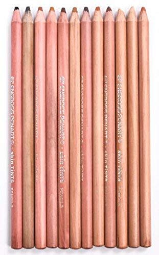JERN ArtBee 12 Pcs Professional Skin Tints Pastel Soft Colored Pencils for Portrait Drawing - Image 1