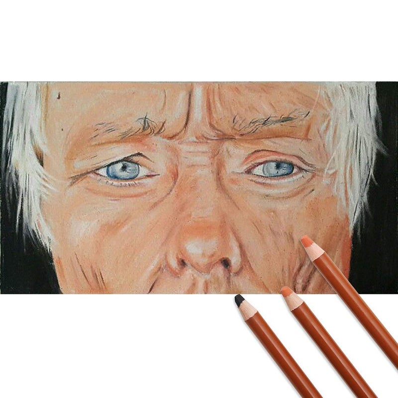 JERN ArtBee 12 Pcs Professional Skin Tints Pastel Soft Colored Pencils for Portrait Drawing - Image 3