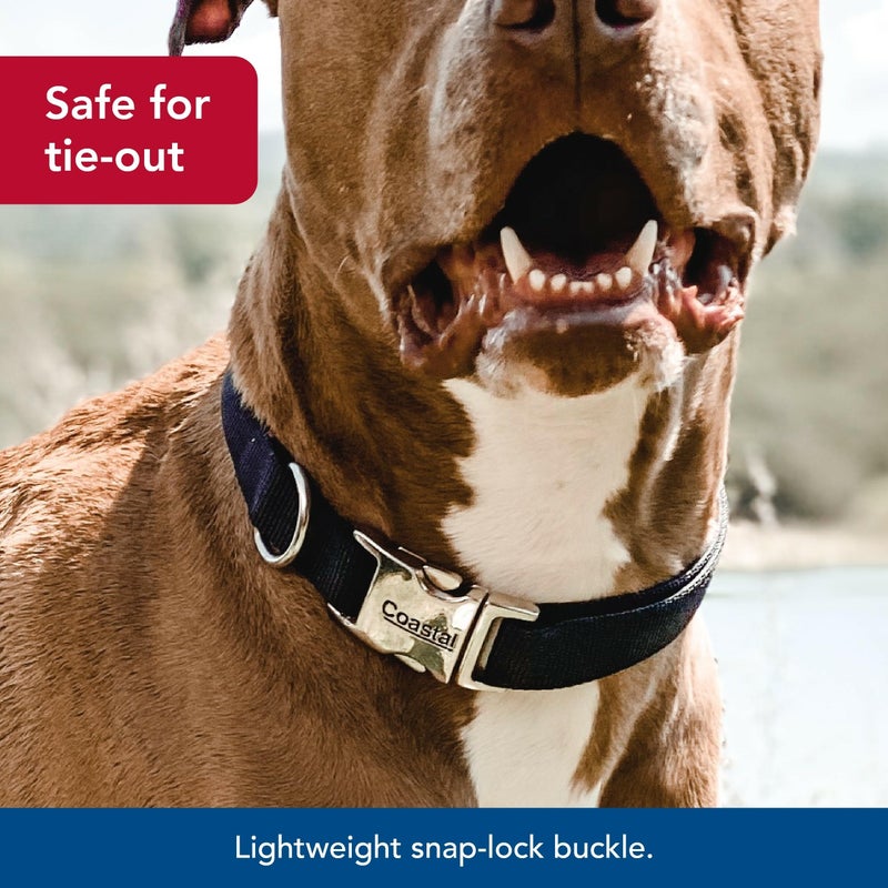 Coastal Pet Adjustable Dog Collar with Metal Buckle - Comfortable Fade-Resistant Dog Collar with Snap Lock - Perfect for Walking & Tie Outs - Black, 3/4" x 14" x 20" - Image 4