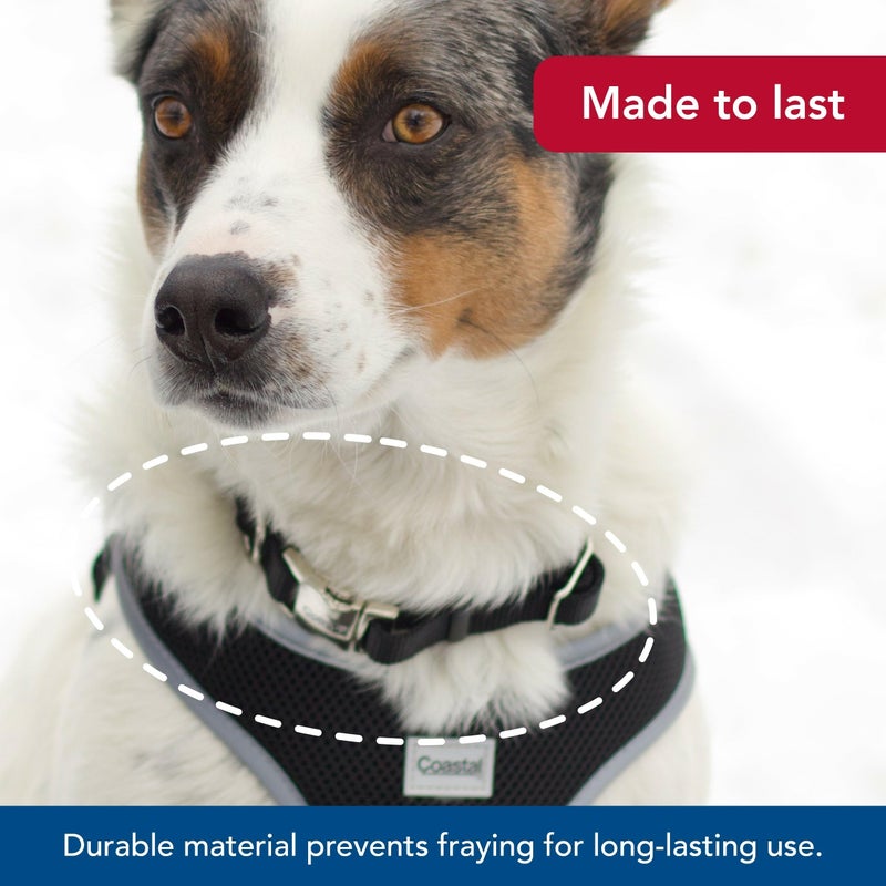 Coastal Pet Adjustable Dog Collar with Metal Buckle - Comfortable Fade-Resistant Dog Collar with Snap Lock - Perfect for Walking & Tie Outs - Black, 3/4" x 14" x 20" - Image 3