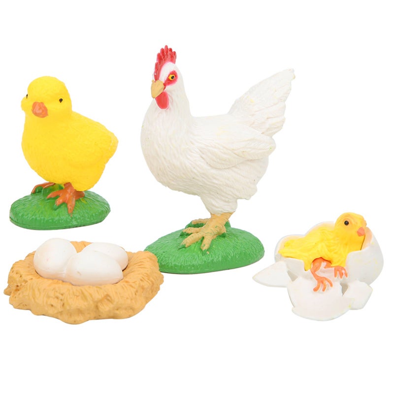 Chick Life Cycle Model: Integrated Molding, Unfading Washable PVC - Vivid Simulation, Burr-Free Durable Life Cycle Learning Toy for Homeschool Science Projects, Preschool Kids - Image 4