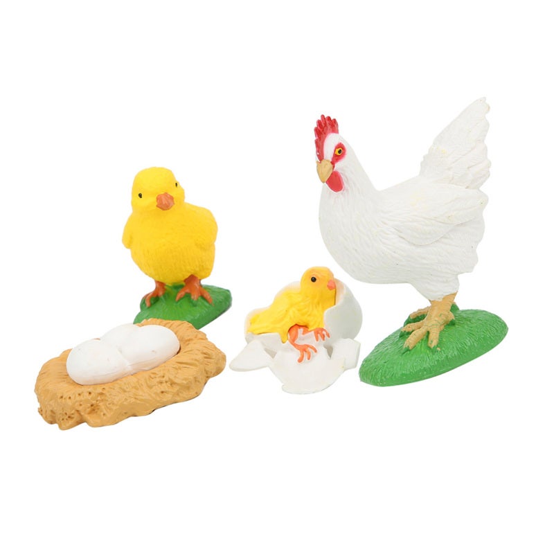 Chick Life Cycle Model: Integrated Molding, Unfading Washable PVC - Vivid Simulation, Burr-Free Durable Life Cycle Learning Toy for Homeschool Science Projects, Preschool Kids - Image 5