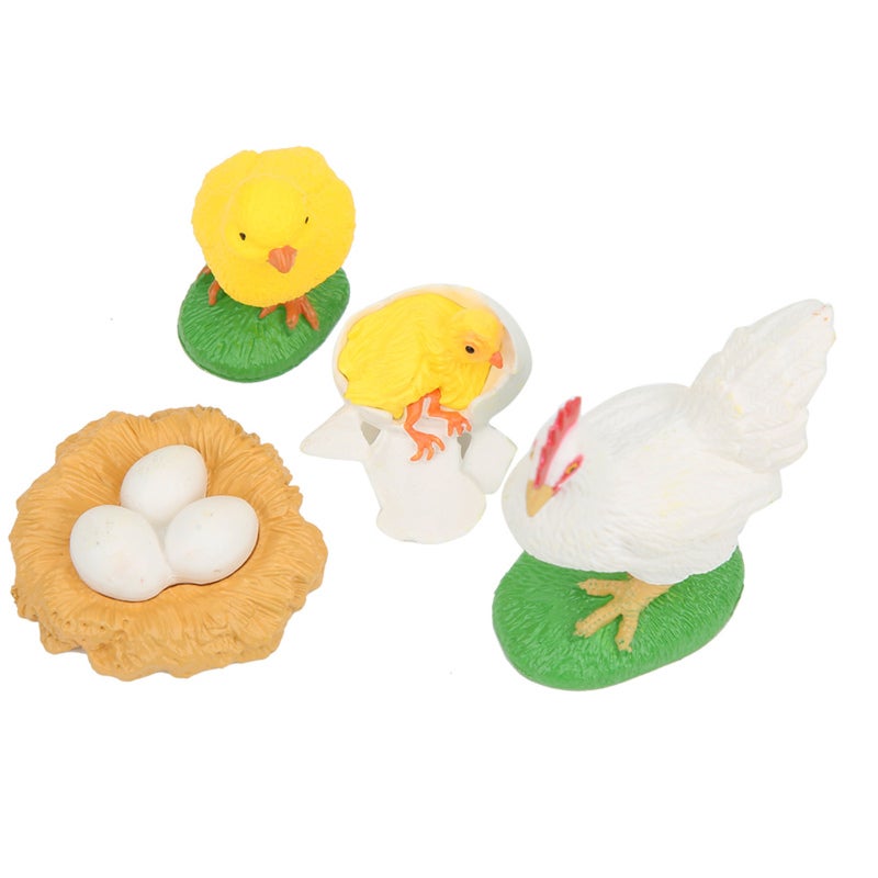 Chick Life Cycle Model: Integrated Molding, Unfading Washable PVC - Vivid Simulation, Burr-Free Durable Life Cycle Learning Toy for Homeschool Science Projects, Preschool Kids - Image 1