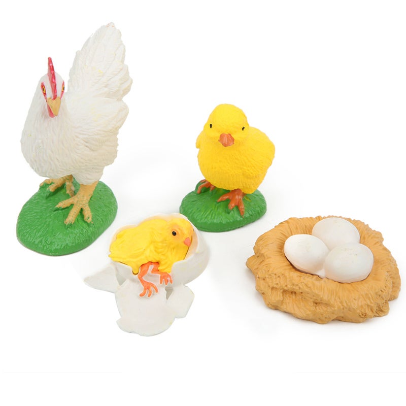 Chick Life Cycle Model: Integrated Molding, Unfading Washable PVC - Vivid Simulation, Burr-Free Durable Life Cycle Learning Toy for Homeschool Science Projects, Preschool Kids - Image 3