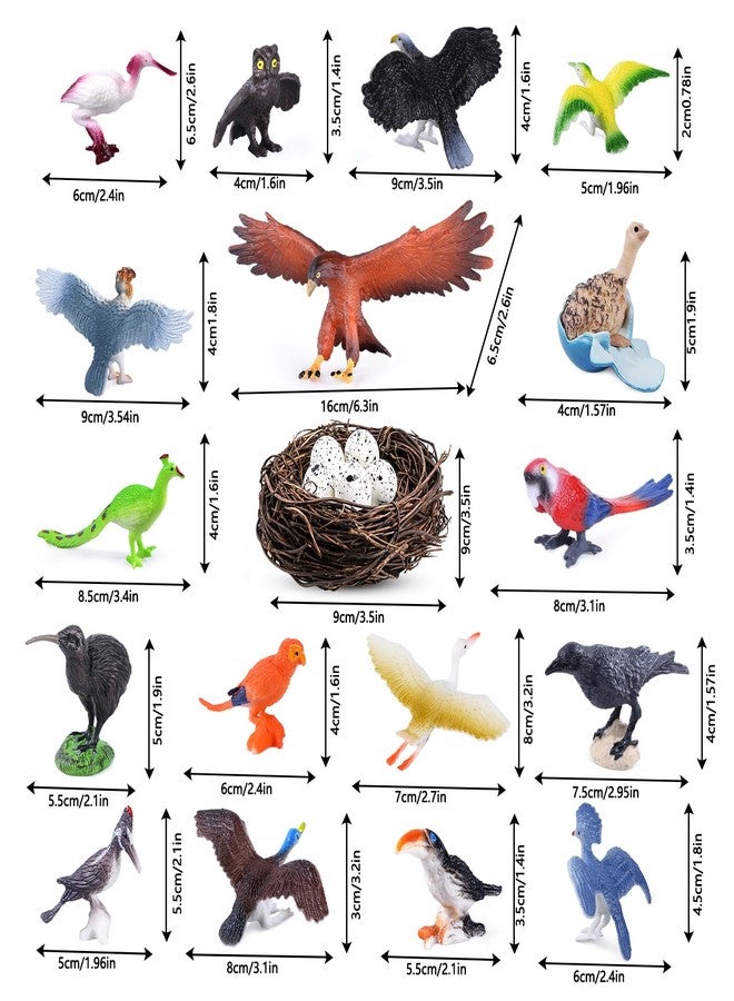 SIENON 23Pcs Birds Toys Playset, Assorted Wildlife Bird Figures with Nest, Raven, Kiwi, Ostrich, Macaw, Golden Eagle for Kids Educational Birthday Cake Décor Garden Accessories School Project - Image 2