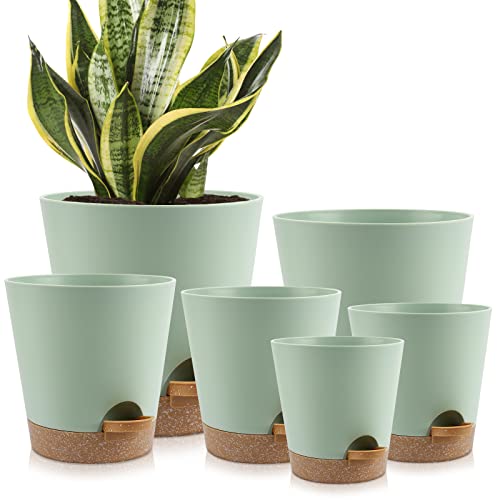 YNNICO Indoor Self Watering Planters with Drainage Holes and Saucers, 8, 7, 6.5, 6, 5.5, 5 Inches, Green, 6 Pots - Image 1