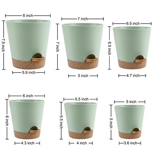 YNNICO Indoor Self Watering Planters with Drainage Holes and Saucers, 8, 7, 6.5, 6, 5.5, 5 Inches, Green, 6 Pots - Image 4
