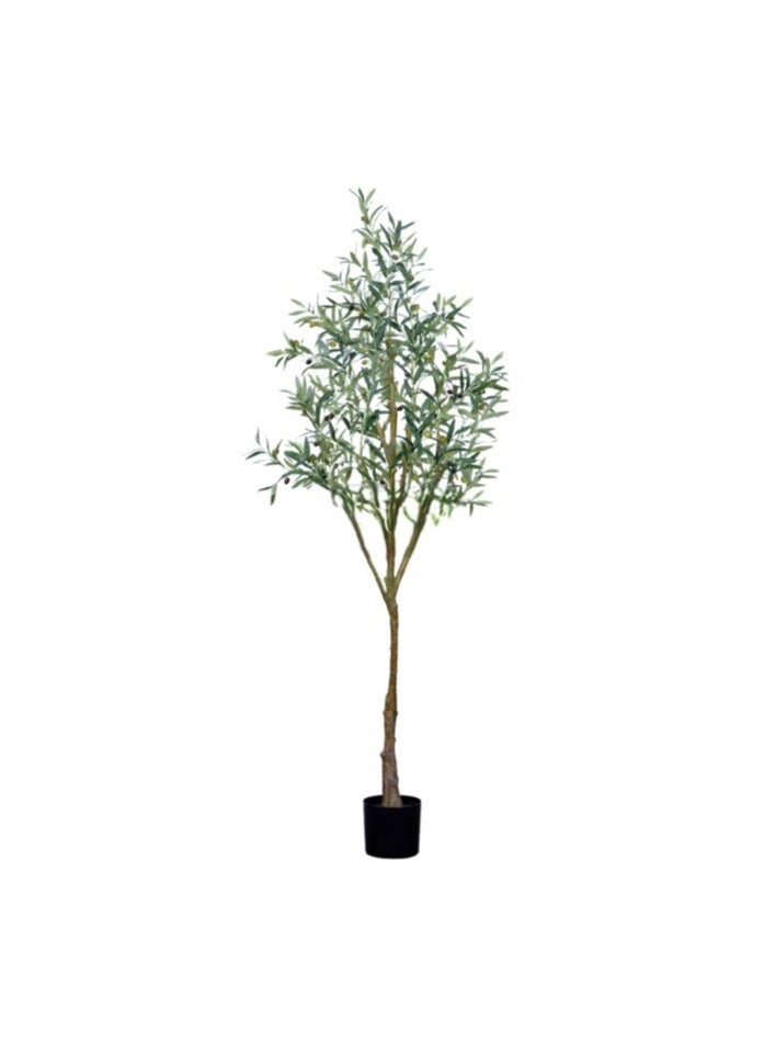 HRT WALL Olive tree 240cm - green 