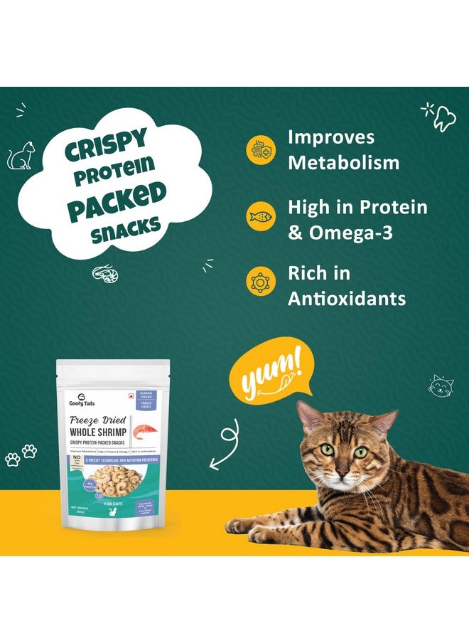 Goofy Tails Freeze Dried Shrimp Cat Treats 90g (30g X 3 Packs), Single Ingredient Cat Treat, Gluten and Grain Free Treats for Cats, Protein and Omega 3, Antioxidant Rich, Easy to Digest Kitten Treats - pzsku/Z937739C16885FBB34638Z/45/_/1737721483/63aa5a0e-5662-4dd7-b88e-0f545e14d595