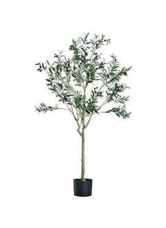 Olive Tree