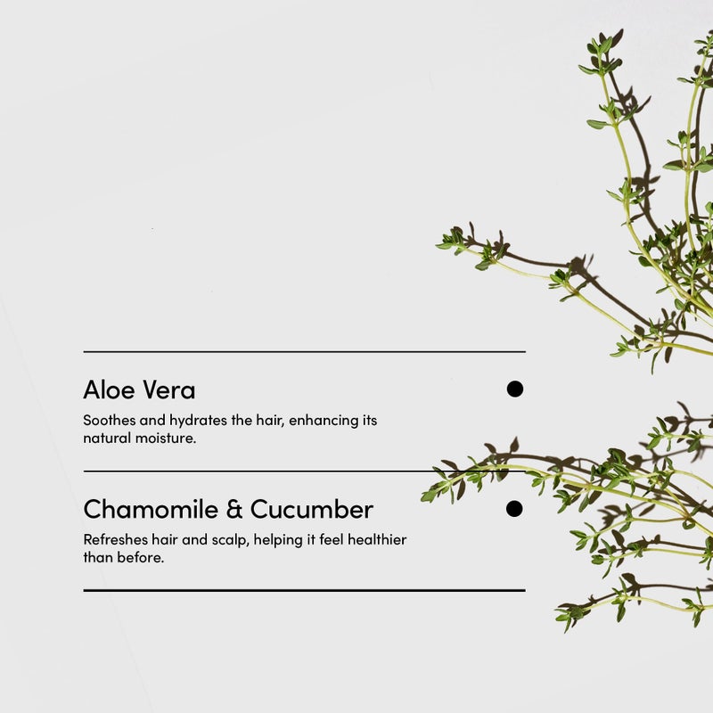 LATHER - Mint Thyme CrÃ¨me Rinse, 8 fl oz - Hair Conditioner - Lightweight Detangler - All Hair Types - Avocado Oil, Vitamins & Protein - Sensitive Skin Safe - Vegan & Cruelty Free - Beauty & Hair Care - Image 5