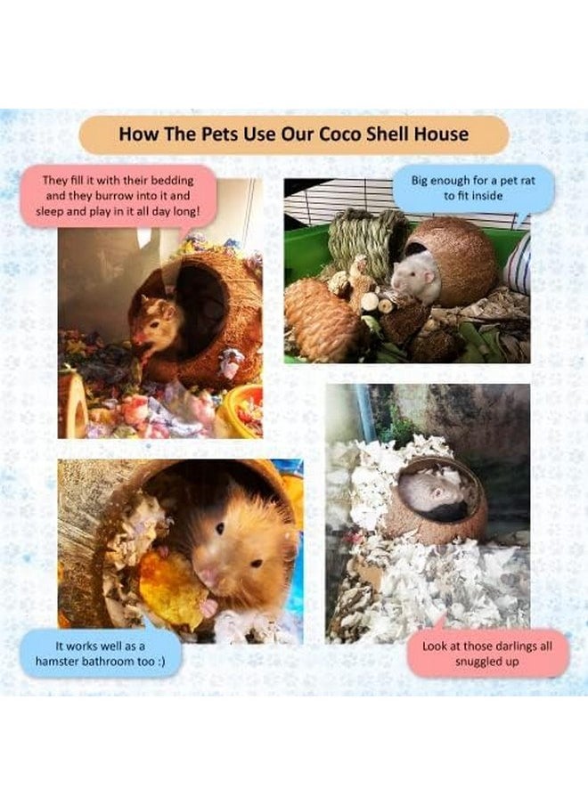 SunGrow Coconut Shell House for Gecko, Snake & Ball Python, Raw Coco Husk, Pet Hiding House, Climber or Chew Toy, for Reptiles, Amphibians (Coco Bowl) - pzsku/Z937B004C452CD5E566E4Z/45/_/1737032212/def95c7c-620c-4a0c-80de-605362f2cba1