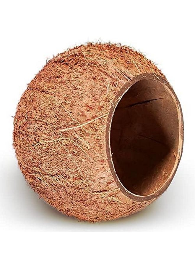 SunGrow Coconut Shell House for Gecko, Snake & Ball Python, Raw Coco Husk, Pet Hiding House, Climber or Chew Toy, for Reptiles, Amphibians (Coco Bowl) - pzsku/Z937B004C452CD5E566E4Z/45/_/1737032214/a1dc798b-55ba-4f4e-9c87-818ef477e5ee