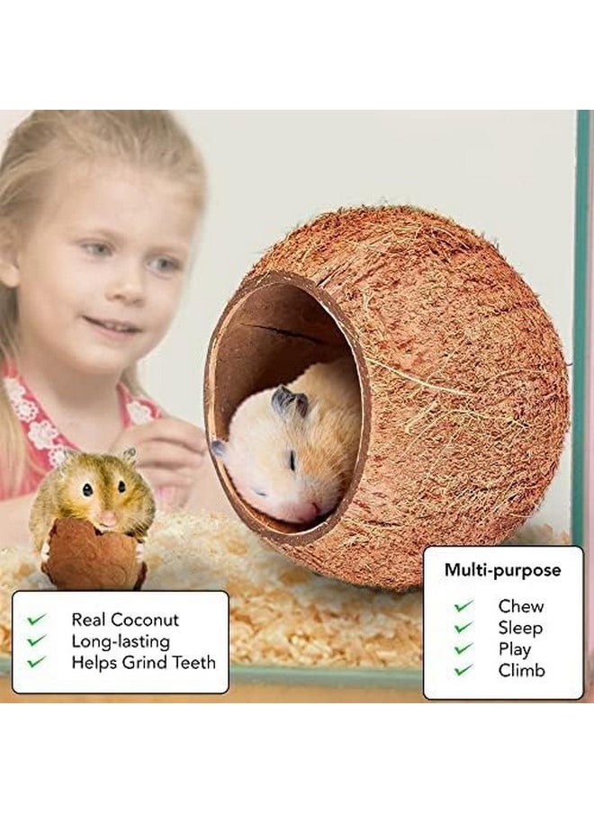 SunGrow Coconut Shell House for Gecko, Snake & Ball Python, Raw Coco Husk, Pet Hiding House, Climber or Chew Toy, for Reptiles, Amphibians (Coco Bowl) - pzsku/Z937B004C452CD5E566E4Z/45/_/1737032218/d083f62a-db72-4b6f-b6a9-d846be653c1c