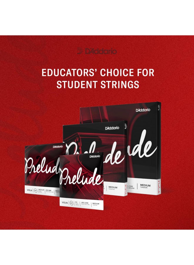 DAddario Prelude Violin String Set, 4/4 Scale Heavy Tension J810 4/4H - Solid Steel Core, Warm Tone, Economical and Durable Educators Choice for Student Strings 1 Set