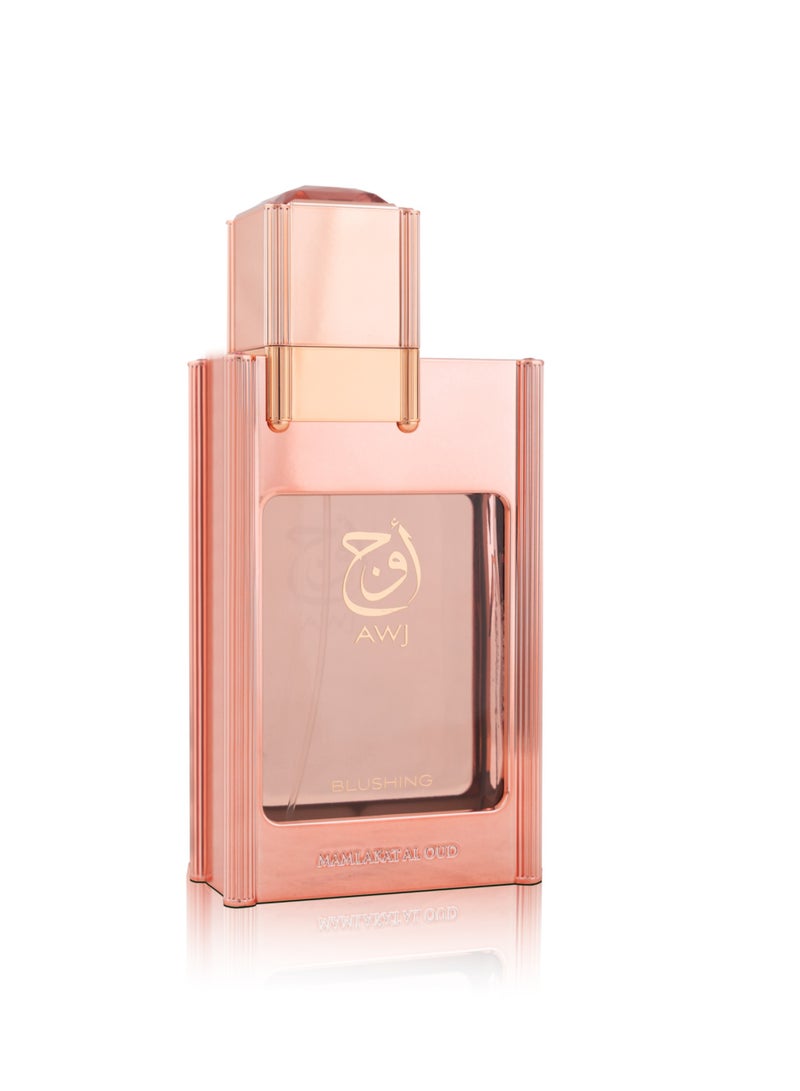 Mamlakat Al Oud Awj Blushing | A Bright Fusion of Pear, Raspberry, Garden Florals & Soft Musk | Eau de Parfum for Unisex - 100ml  - Image 2