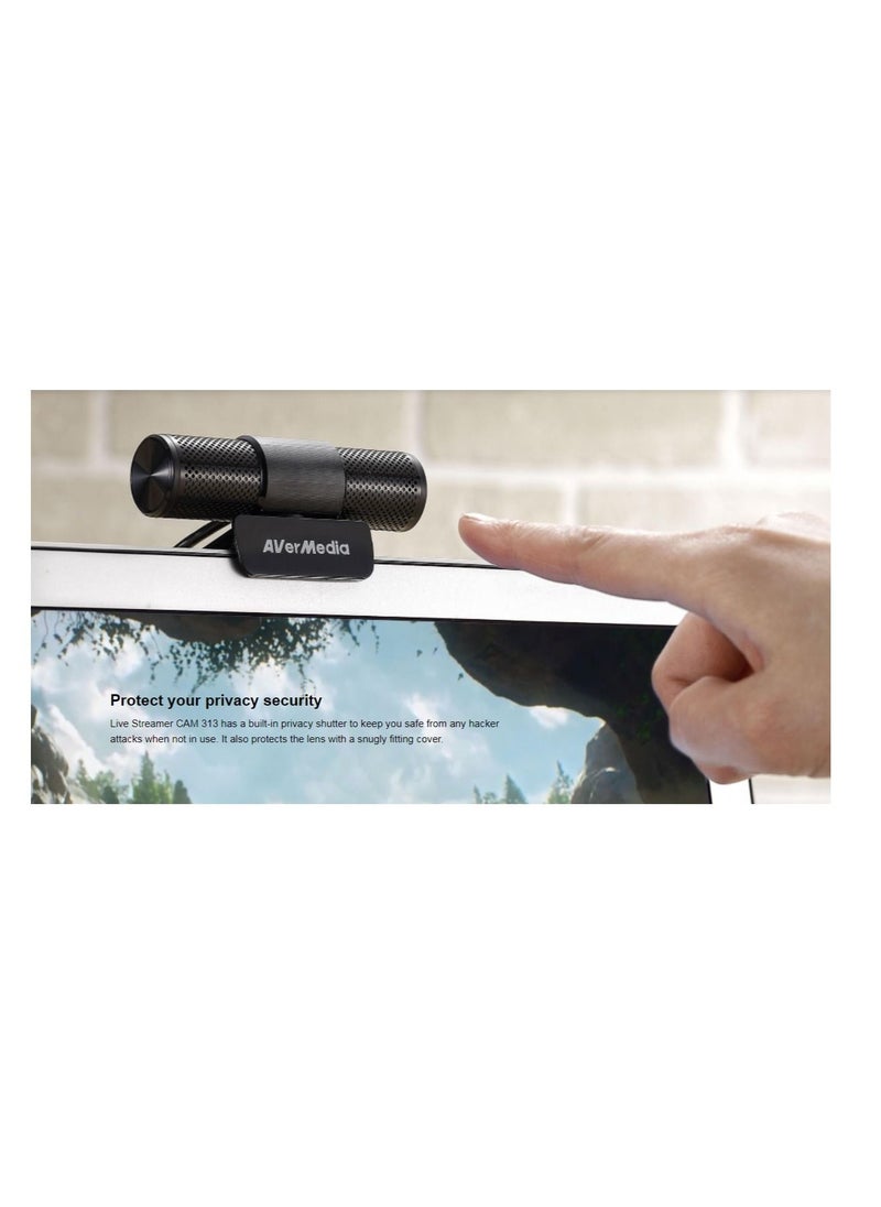 LIVE STREAMER CAM 313 - PW313