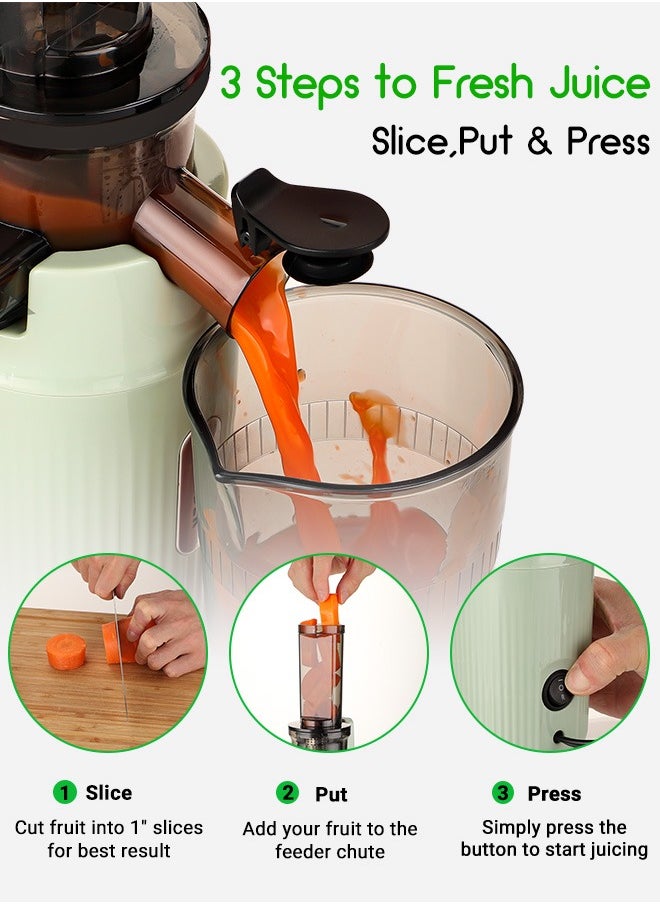 INKBIRD Inkbird Mini Electric Juicer Fruits Cold Press Squeezer Small Manual Citrus Juicers Vegetable Processor Slow Masticating Juicer Machines 200W Slow Juicer Machine with 400ml Juice Cup Juicer Machines  - Image 4