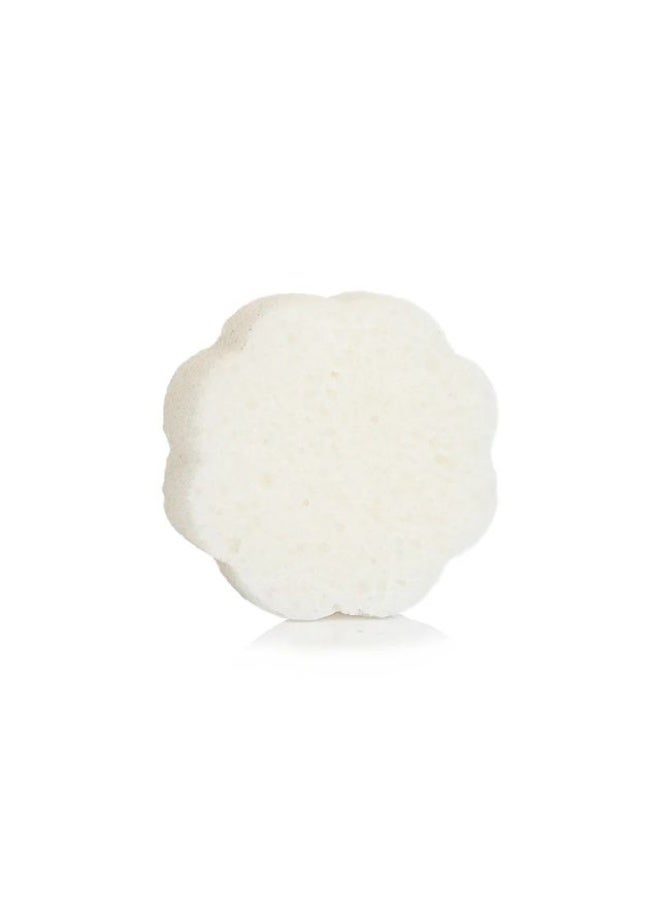 Spongelle Daisy Collection French Lavender Body Wash Infused Spongette 50g (7+ Uses) - Image 2