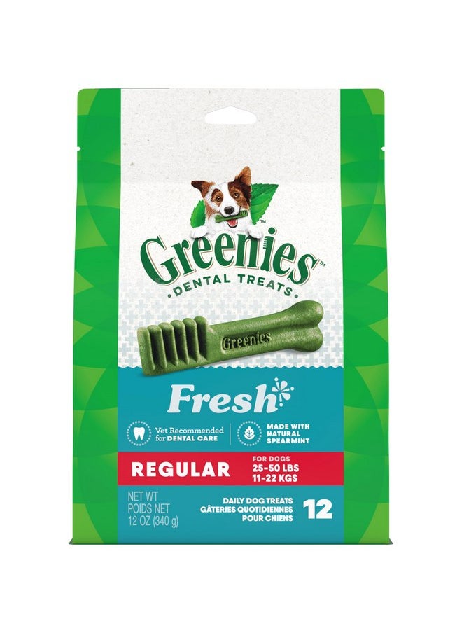 Greenies Greenies Regular Natural Dental Care Dog Treats Fresh Flavor, 12 oz. Pack (12 Treats)  - Image 1