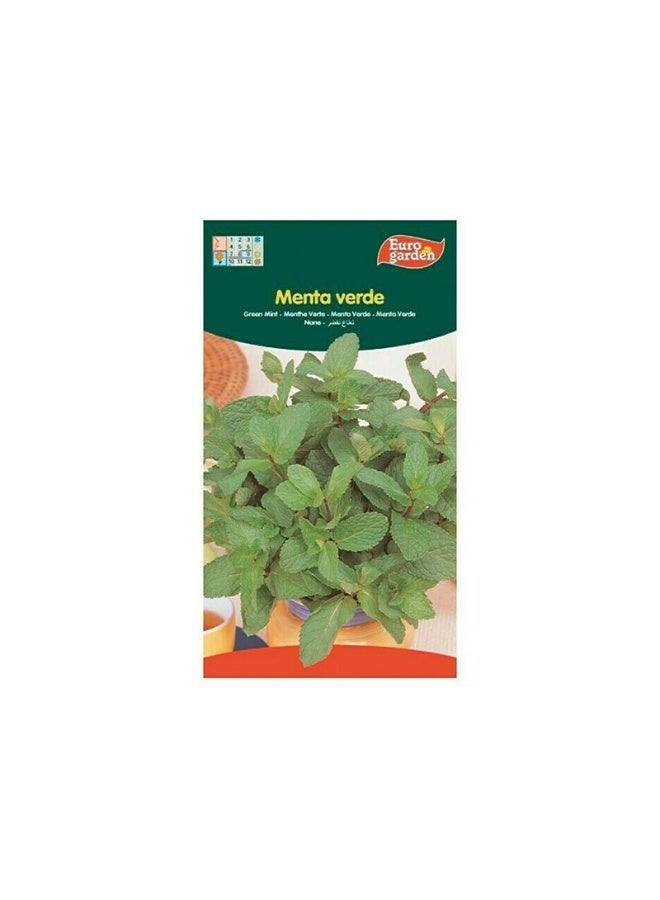 Euro Garden EG Green Mint Seeds