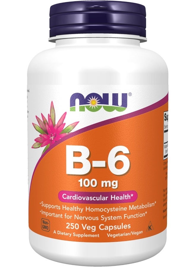 now Supplements, Vitamin B-6 (Pyridoxine Hcl) 100 Mg, Cardiovascular Health*, 250 Veg Capsules - Image 1