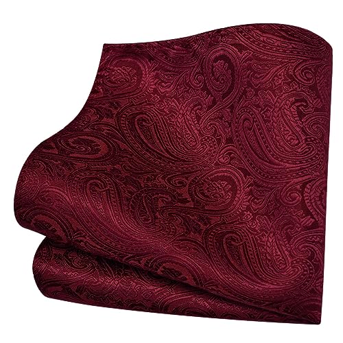 GUSLESON Burgundy Tie Mens Paisley Wedding Necktie Pocket Square Cufflinks and Lapel Pin Brooch Set (IN6103-01) - Image 3