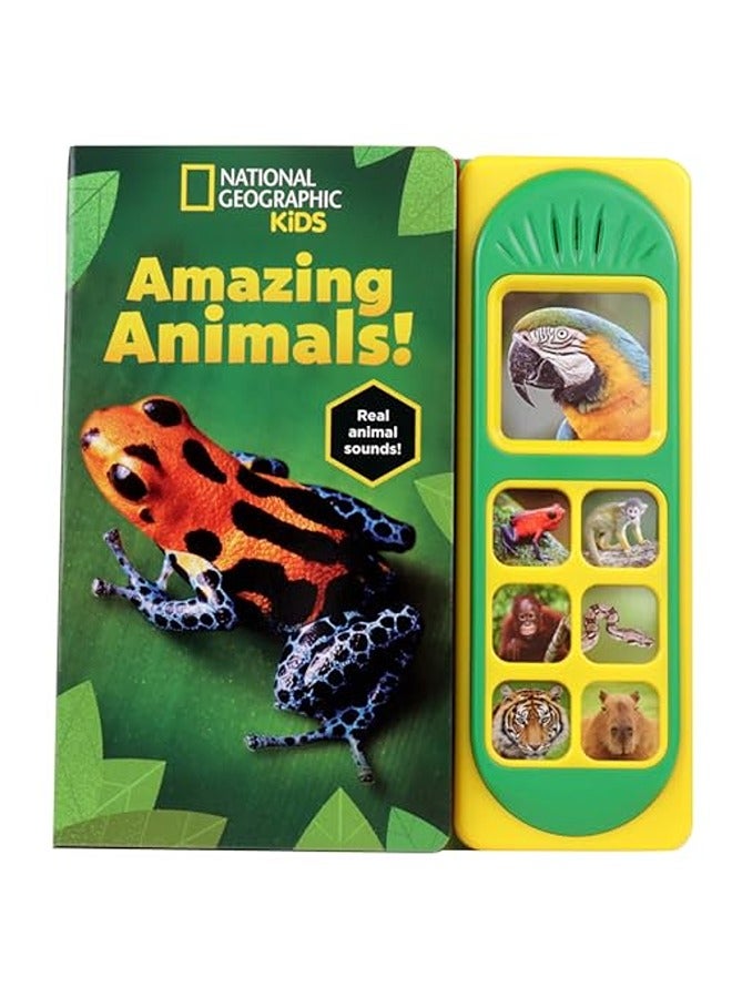 National Geographic Kids: Amazing Animals! Sound Book