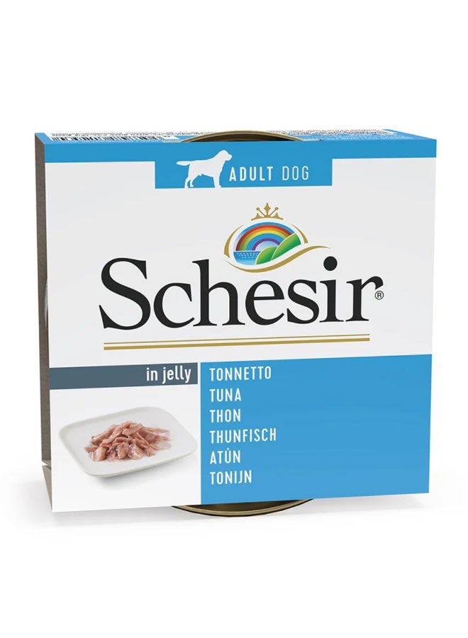 Schesir Dog Wet Food in Jelly Can-Tuna 5x150g [5 Cans] - Image 1