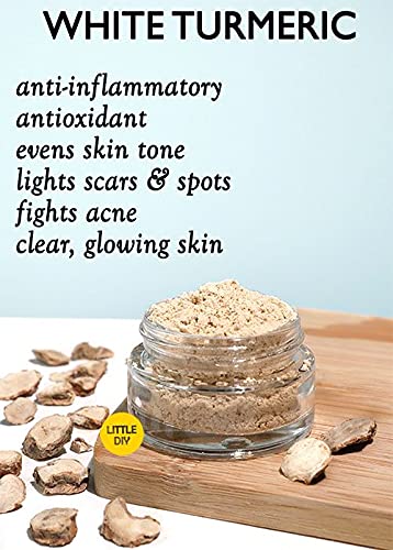 VS Products White Turmeric Root Powder 650g Kichilli Kilangu Root Powder Poolankilangu Powder Zeodary Powder Curcuma Zedoaria Powder Kapur kachri Powder Spiked Ginger Lily Powder pack of 6 x 100g pack of 1 x 50g - Image 3