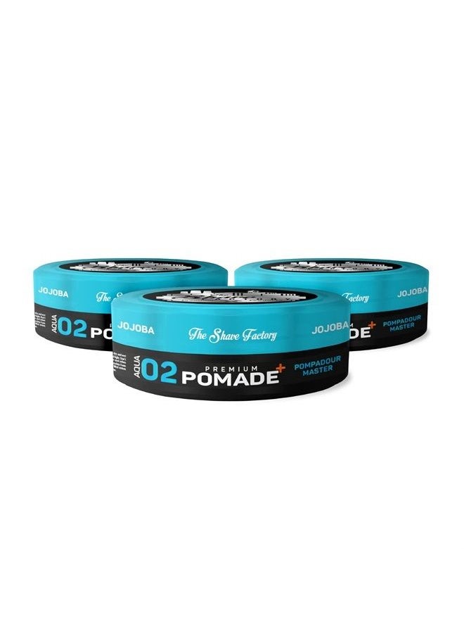 Premium Pomade 150ml 02 Pompadour Master with Jojoba Extra Hold & Shine - pzsku/Z9389E070D14072E62A9DZ/45/_/1686792024/fd40c9d0-4ab4-4d7c-97e5-3adf57e8df9d