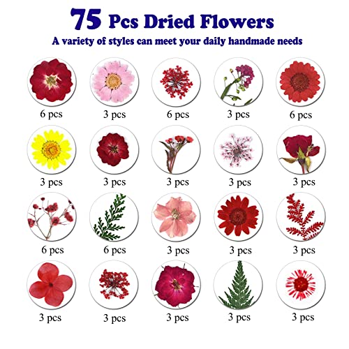 LUCISKY 75 Pcs Red Dried Flowers Real Natural Pressed Leave Petals for DIY Resin Candle Jewelry Nail Pendant Crafts - Image 4