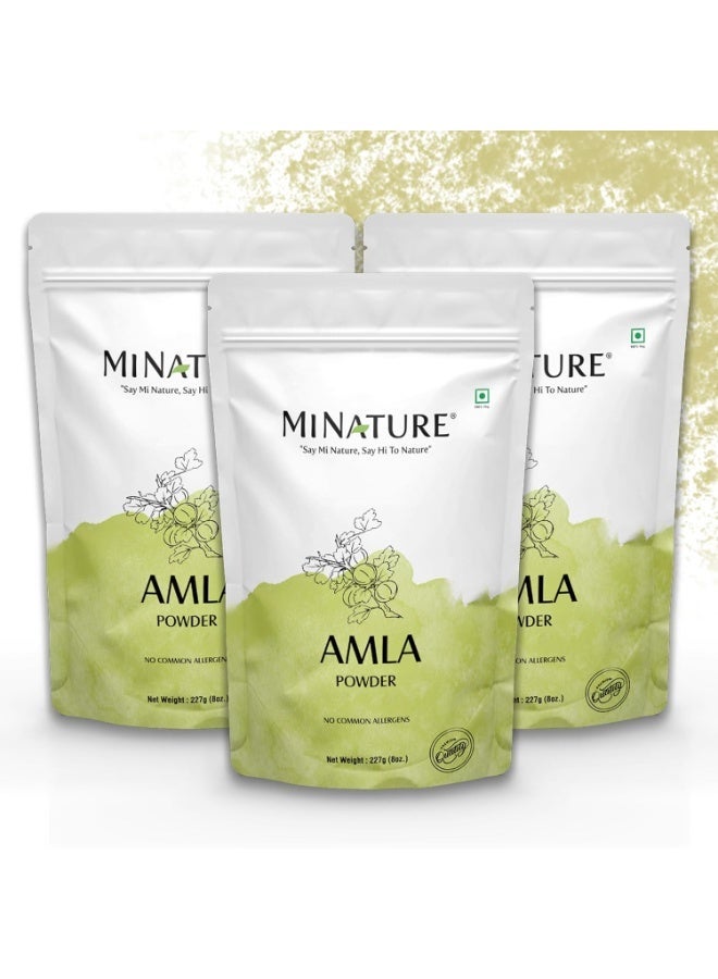 Mi Nature 100% Pure Amla Powder Pack of 3 (Each pack 227g (8 oz) |Natural Vitamin C Rich Indian Gooseberry Powder |Traditional Superfood for Hair Care| Skin Health & Immune Support - Image 1