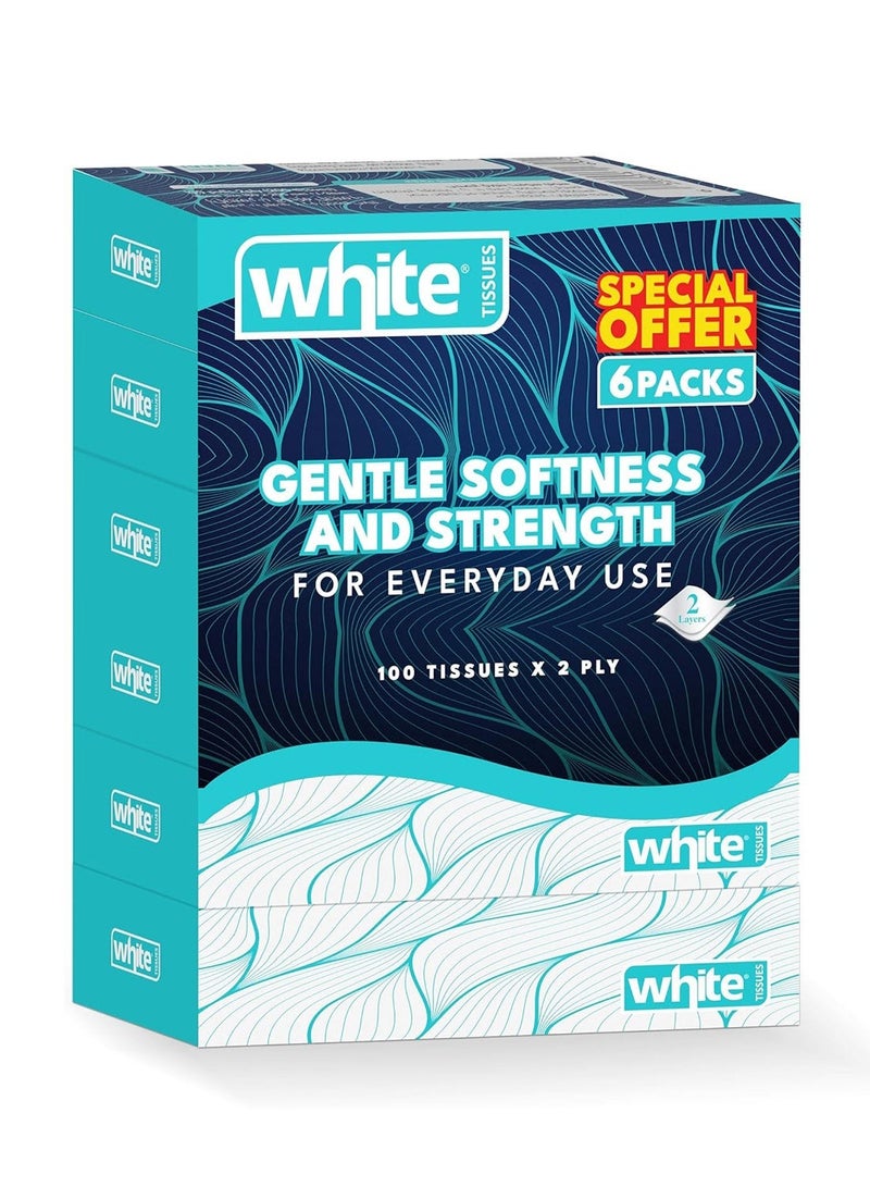 White مناديل وجه دبلوك 100 سحب × 2 طبقة 6 في 1 - Image 1
