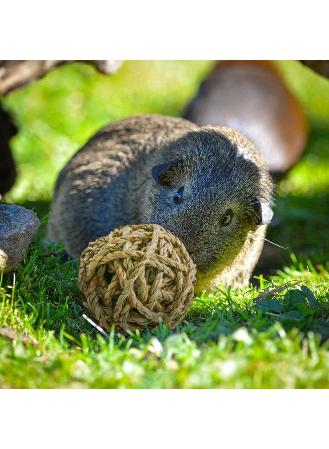 Bac-kitchen 8 Pcs Small Animals Play Balls Rolling Activity Chew Toys Gnawing Treats for Rabbits Guinea Pigs Chinchilla Bunny Natural Balls, Pet Cage Entertainment Accessories (8 Pcs+ Pine Cone) - Image 3