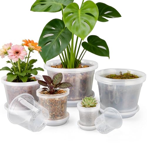 FUOAUYK 12/10/8/6/4 Inch Clear Nursery Pots with Drainage and Saucers, 20 Pack Large Clear Plastic Nursery Pots for Plants, Seedling Plant Pots for Repotting and Growing Plants, Flowers & Vegetables - Image 1