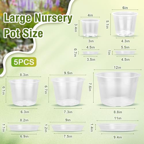 FUOAUYK 12/10/8/6/4 Inch Clear Nursery Pots with Drainage and Saucers, 20 Pack Large Clear Plastic Nursery Pots for Plants, Seedling Plant Pots for Repotting and Growing Plants, Flowers & Vegetables - Image 2