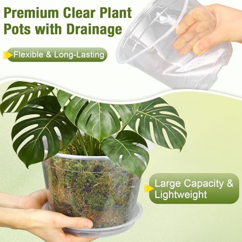 FUOAUYK 12/10/8/6/4 Inch Clear Nursery Pots with Drainage and Saucers, 20 Pack Large Clear Plastic Nursery Pots for Plants, Seedling Plant Pots for Repotting and Growing Plants, Flowers & Vegetables - Image 4